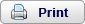 printButton.gif (2658 bytes)